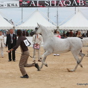 2012 Menton Arabian Horse Championships