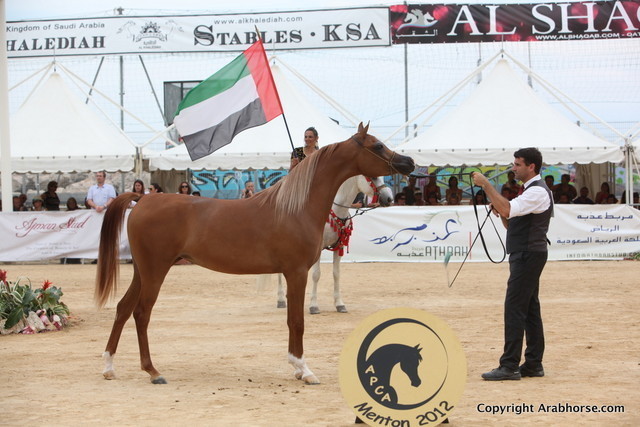 2012 Menton Arabian Horse Championships