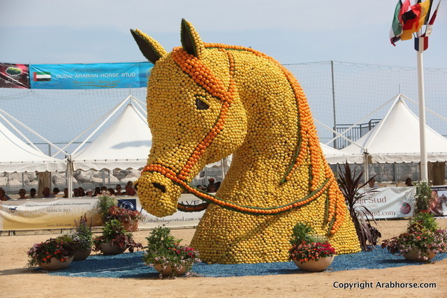 2012 Menton Arabian Horse Championships