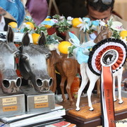 2012 Menton Arabian Horse Championships