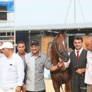 2012 Menton Arabian Horse Championships