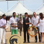 2012 Menton Arabian Horse Championships