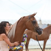 2012 Menton Arabian Horse Championships