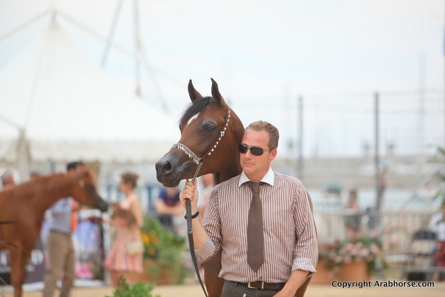 2012 Menton Arabian Horse Championships