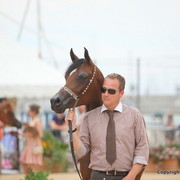 2012 Menton Arabian Horse Championships