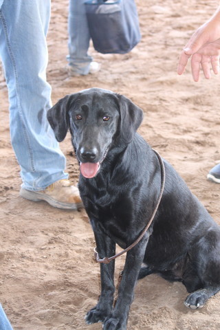 Youth Nationals 2012