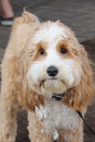 Youth Nationals 2012