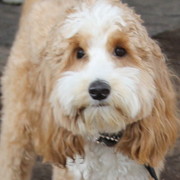 Youth Nationals 2012