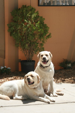 Youth Nationals 2012