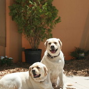 Youth Nationals 2012