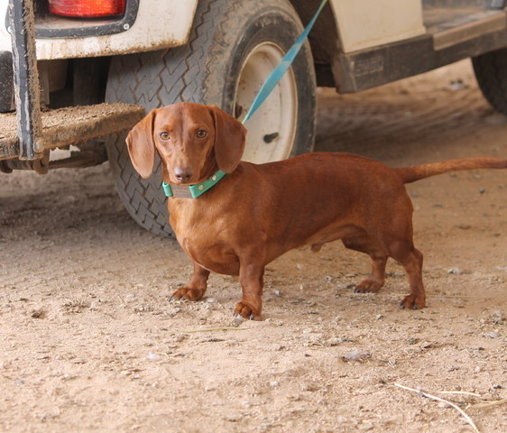 Youth Nationals 2012