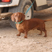 Youth Nationals 2012