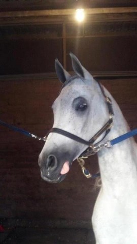 2012 Youth Nationals Photo Contest