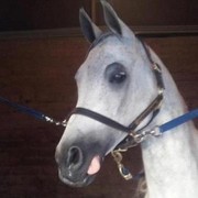 2012 Youth Nationals Photo Contest