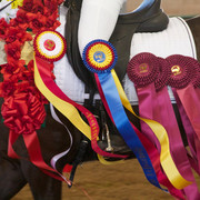 2012 Youth Nationals Photo Contest