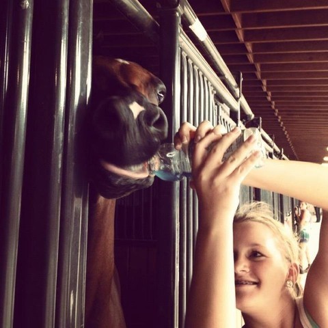 2012 Youth Nationals Photo Contest