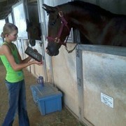 2012 Youth Nationals Photo Contest