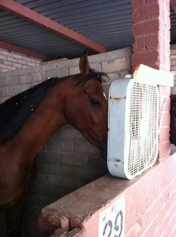 2012 Youth Nationals Photo Contest