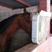 2012 Youth Nationals Photo Contest