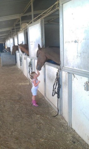 2012 Youth Nationals Photo Contest