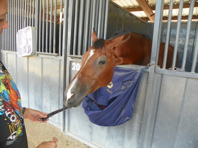 2012 Youth Nationals Photo Contest