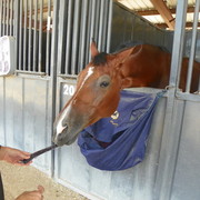 2012 Youth Nationals Photo Contest