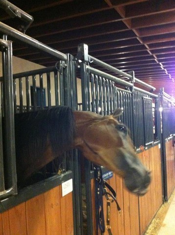 2012 Youth Nationals Photo Contest