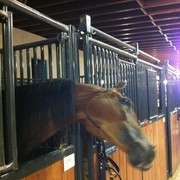 2012 Youth Nationals Photo Contest