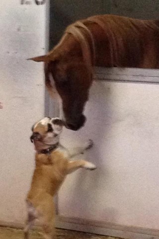 2012 Youth Nationals Photo Contest