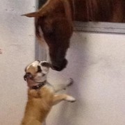 2012 Youth Nationals Photo Contest