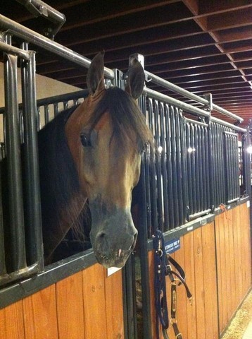 2012 Youth Nationals Photo Contest