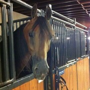 2012 Youth Nationals Photo Contest