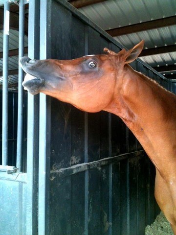 2012 Youth Nationals Photo Contest