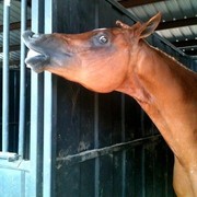 2012 Youth Nationals Photo Contest