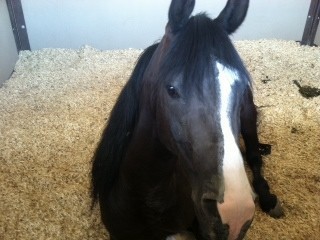 2012 Youth Nationals Photo Contest