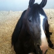 2012 Youth Nationals Photo Contest