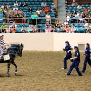 2012 Youth Nationals Photo Contest