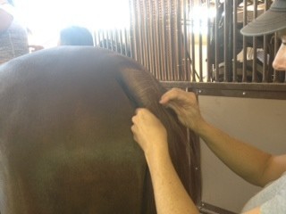 2012 Youth Nationals Photo Contest