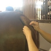 2012 Youth Nationals Photo Contest