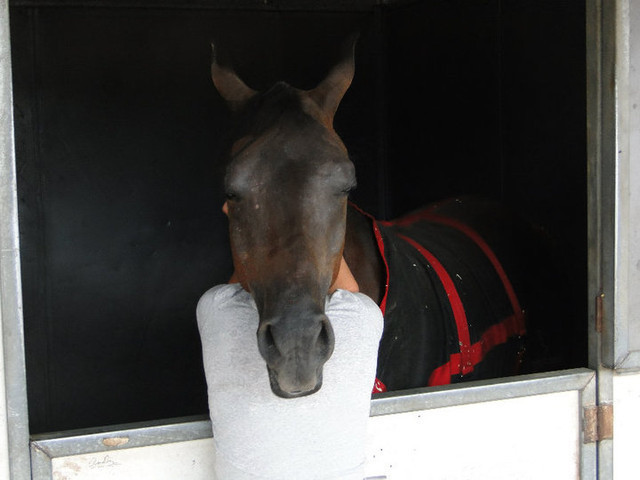 2012 Youth Nationals Photo Contest