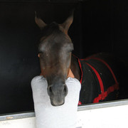 2012 Youth Nationals Photo Contest