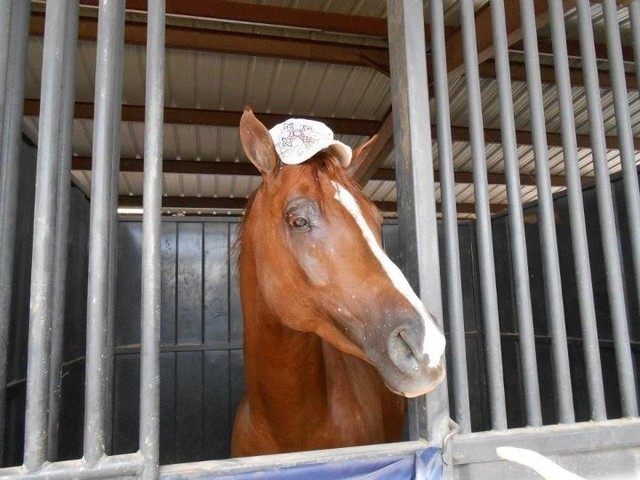 2012 Youth Nationals Photo Contest