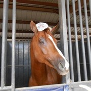 2012 Youth Nationals Photo Contest