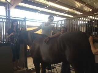 2012 Youth Nationals Photo Contest