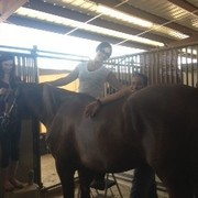 2012 Youth Nationals Photo Contest