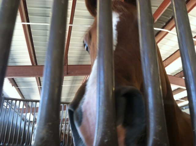 2012 Youth Nationals Photo Contest