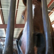 2012 Youth Nationals Photo Contest