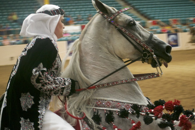 2012 Youth Nationals Photo Contest