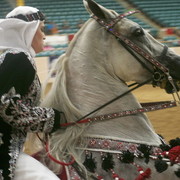 2012 Youth Nationals Photo Contest