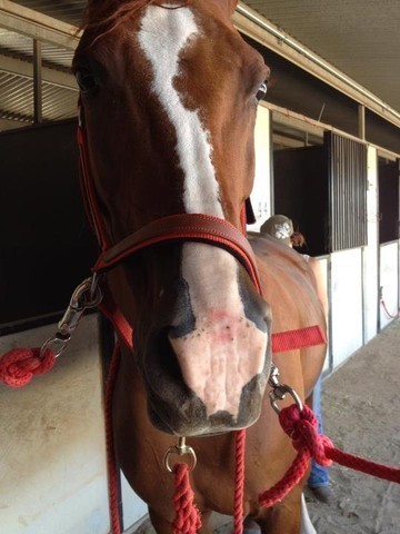 2012 Youth Nationals Photo Contest